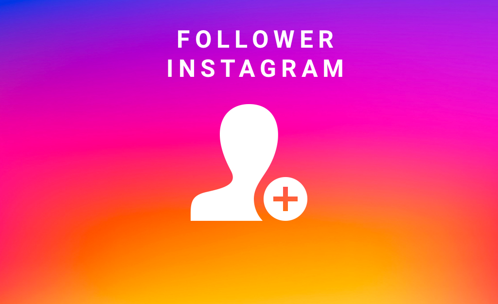 250 Follower Instagram